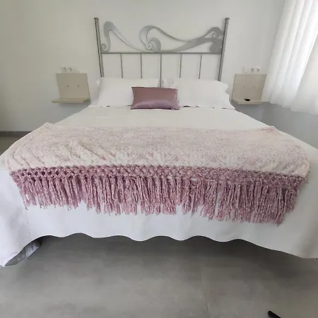 Oleo Auto Check-in Santander